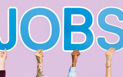 La Ligue recherche son/sa futur Directeur.trice Administratif et Financier